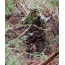 Titan Leafy Suit Mossy Oak - Obsession Nwtf 2-3xl Pants-top