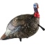 Avian X Lcd Quarter Strut Jake - Decoy