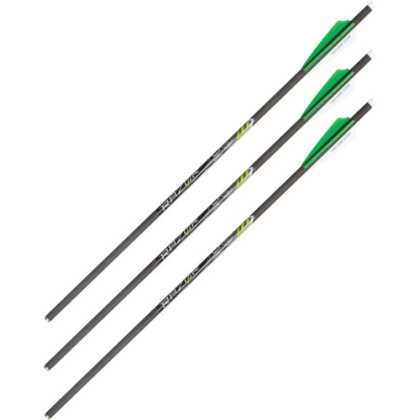 Allen Xbow Arrow 20\